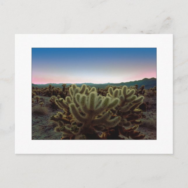 Cartão Postal "A Pointy View" (Frente)