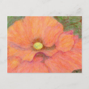 Cartão Postal A Poppy, Cartão-postal