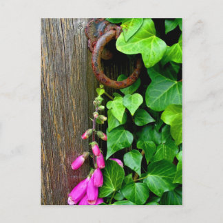 CARTÃO POSTAL A PORTA SECRETA