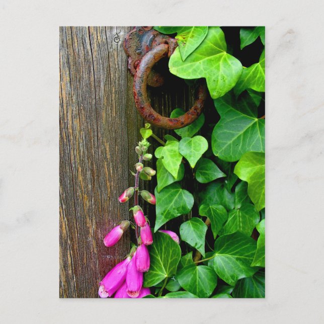 CARTÃO POSTAL A PORTA SECRETA (Frente)