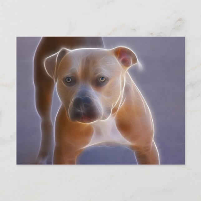 Cartão Postal A postura (Frente)