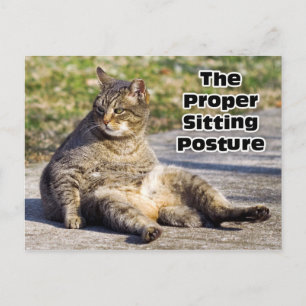 Cartão Postal A Postura De Sessão Adequada