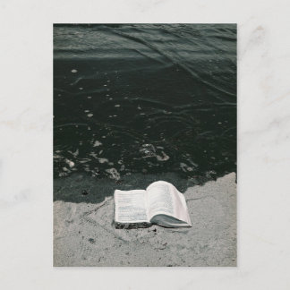 Cartão Postal A praia perfeita lida