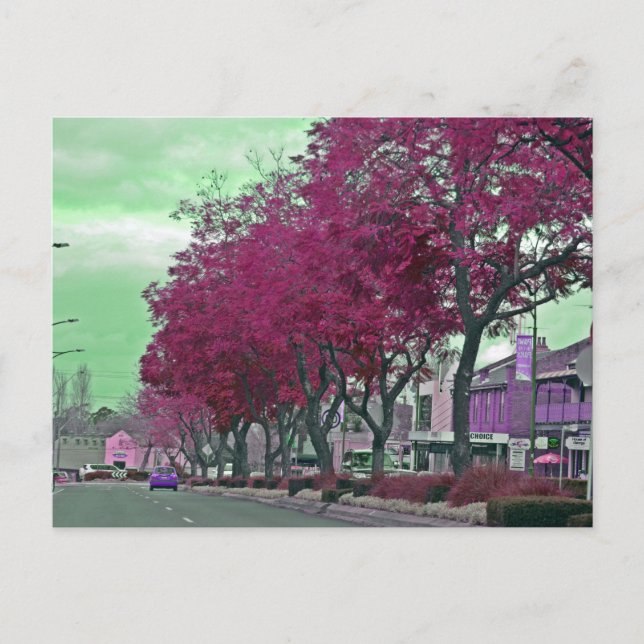 Cartão Postal A Primavera no campo (Frente)