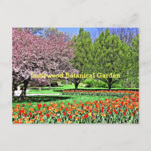 CARTÃO POSTAL "A PRIMAVERA VEM AO JARDIM BOTÂNICO DE INNISWOOD"