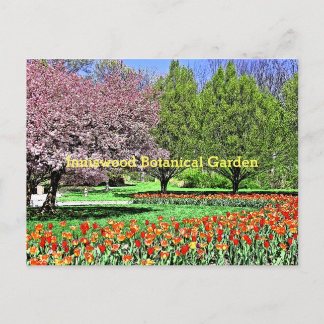 CARTÃO POSTAL "A PRIMAVERA VEM AO JARDIM BOTÂNICO DE INNISWOOD" (Frente)