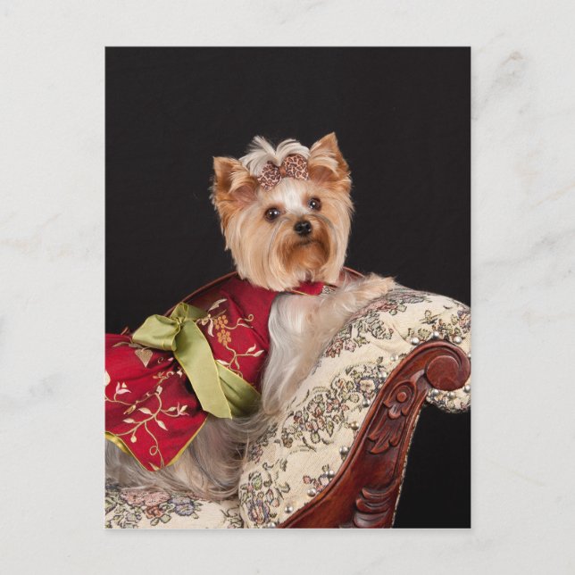 Cartão Postal A Rainha Yorkie (Frente)