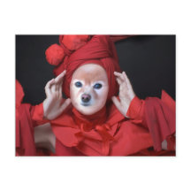 A Raposa É A Dama De Vermelho