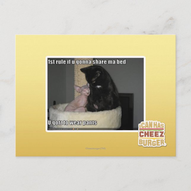 Cartão Postal ?a regra se u que vai compartilhar de mães coloca (Frente)