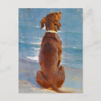Cartão Postal A sitting brown dog by P.S. Kroyer