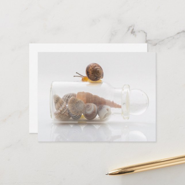 Cartão Postal A snail and seashells (Frente/Verso In Situ)