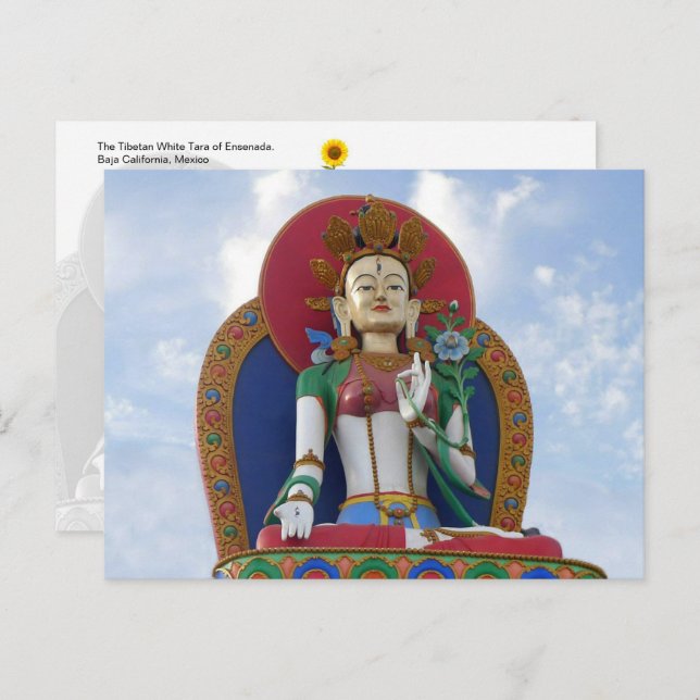 Cartão Postal A Tara Branca Tibetana de Ensenada - cartão-postal (Frente/Verso)