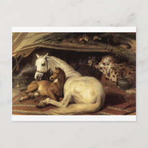 Cartão Postal A tenda árabe de Edwin Henry Landseer