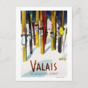 Cartão Postal A Terra do Sol - Pássaros em Neve