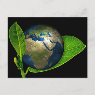 CARTÃO POSTAL A TERRA É NASCER