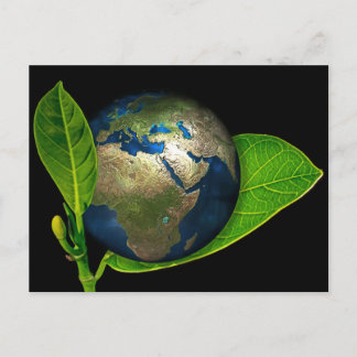 CARTÃO POSTAL A TERRA É NASCER