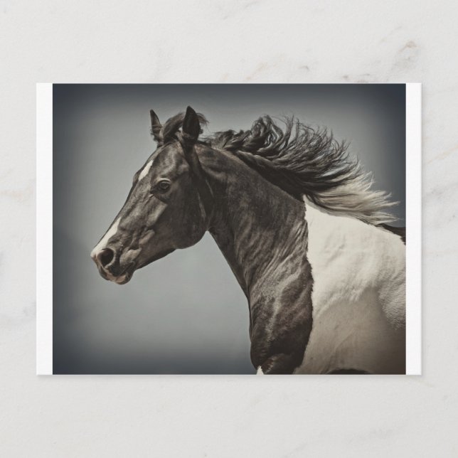 Cartão Postal A Tinta (Frente)