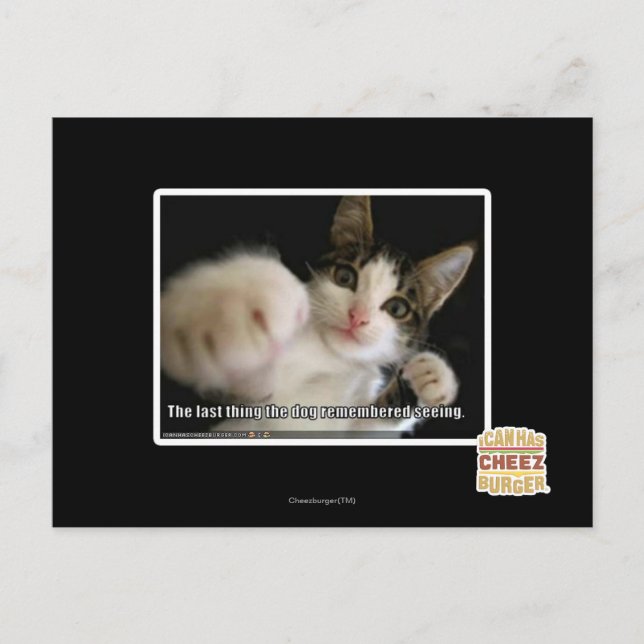 Cartão Postal A última coisa (Frente)