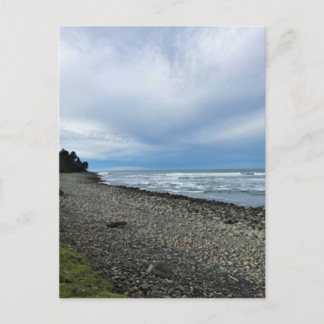 Cartão Postal A Vaca em Seaside, Oregon (Frente)