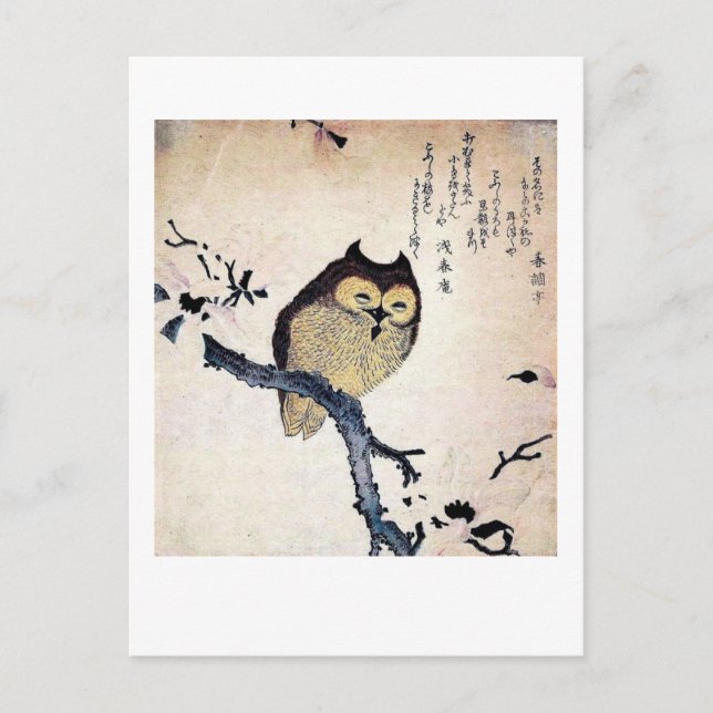 Cartão Postal A velha coruja (Frente)