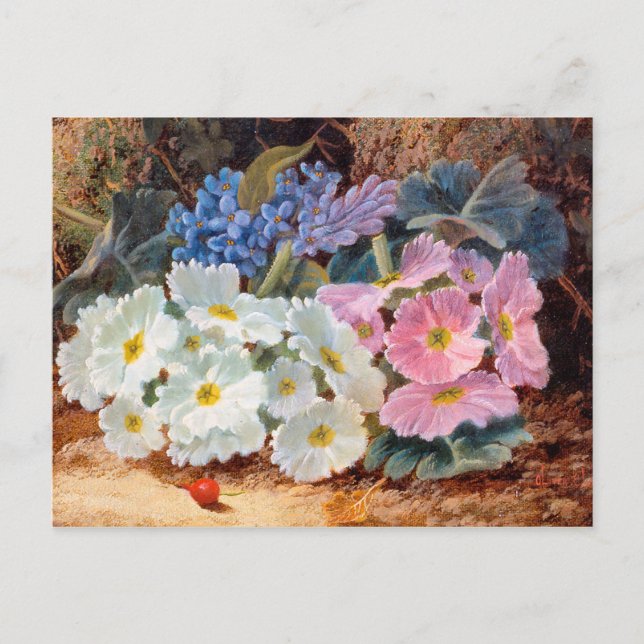 Cartão Postal A vida das flores Oliver Clare 1853 - 1927 (Frente)