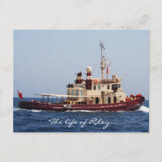Cartão Postal A vida de Riley postais