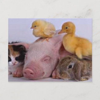 CARTÃO POSTAL A VIDA É BOA