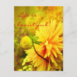 Cartão Postal A Vida É Bonita | Dahlias Amarelo ouro