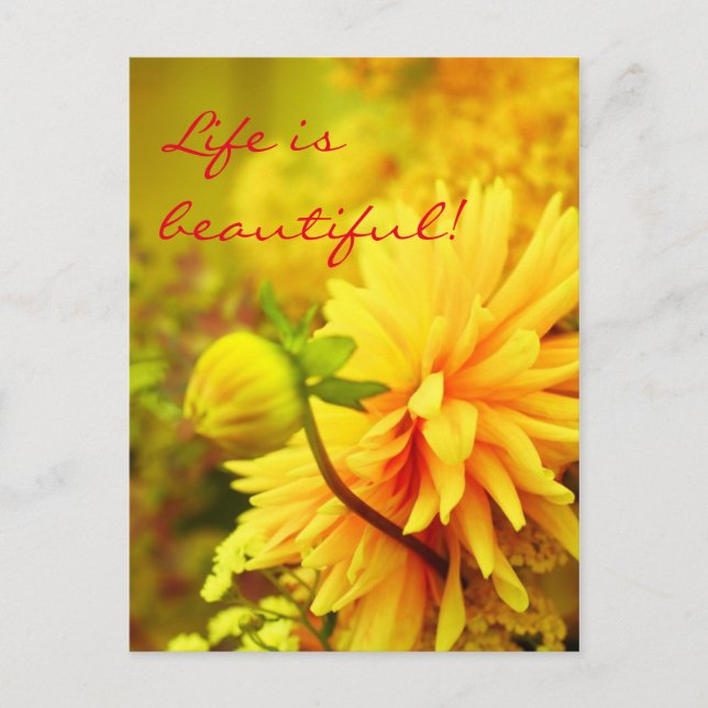 Cartão Postal A Vida É Bonita | Dahlias Amarelo ouro (Frente)