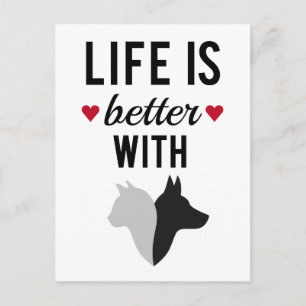 Cartão Postal A vida é melhor com o gato e o cão, design de text