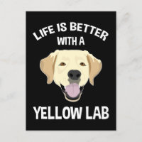 A Vida É Melhor Com Um Laboratório Amarelo