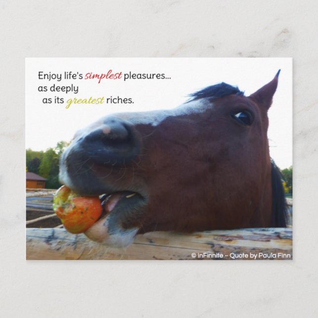 Cartão Postal A vida é um prazer simples... (Frente)