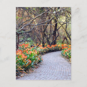 Cartão Postal A vida é uma jornada