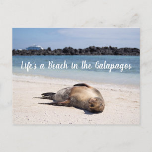 Cartão Postal A vida é uma praia no cartão-postal das Galápag