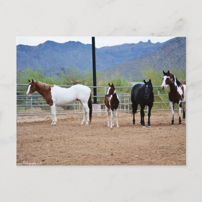 Cartão Postal A Vista (Frente)