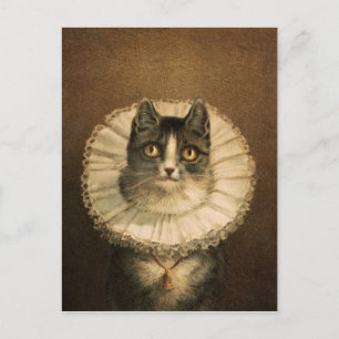 Cartão Postal A viúva (1861–1897), retrato de gato vintage 