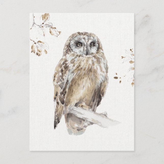 Cartão Postal A Woodland Walk VIII (Frente)