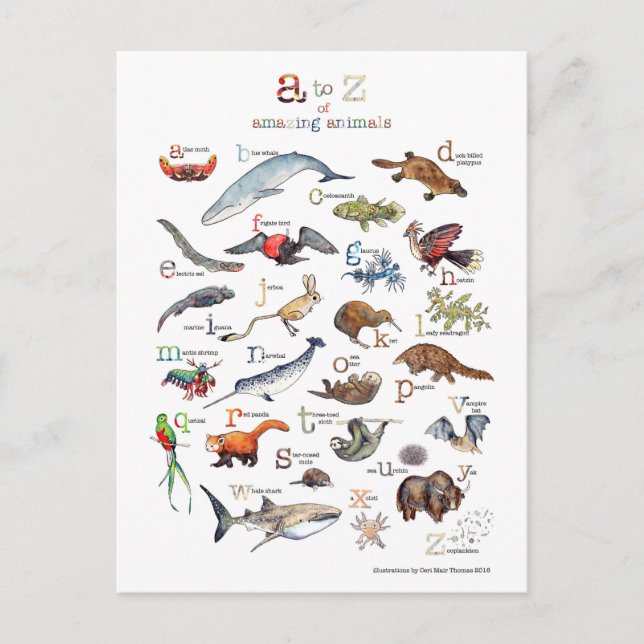 Cartão Postal A-Z de animais surpreendentes (Frente)
