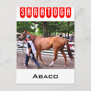 Cartão Postal Abaco - Tabuleiros Phipps