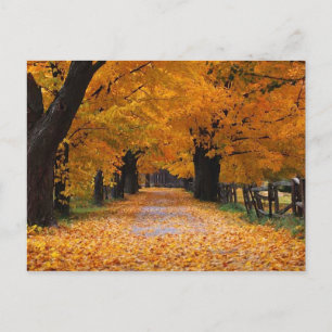 Cartão Postal Abaixando o Painel de Memória do outono