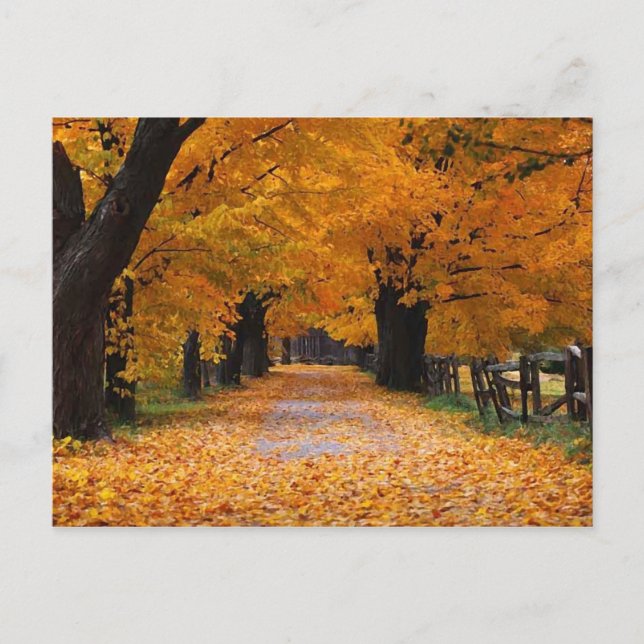 Cartão Postal Abaixando o Painel de Memória do outono (Frente)