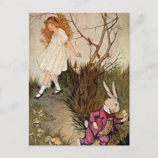 Cartão Postal Abaixo o Buraco do Coelho (Frente)