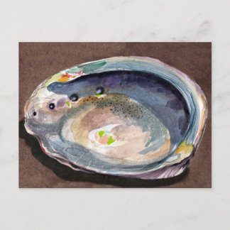 Cartão Postal Abalone Shell