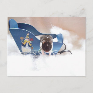 Cartão Postal abandone o trenó!