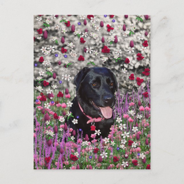Cartão Postal Abby in Flowers - Black Lab Dog (Frente)