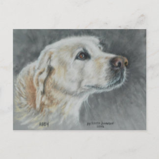 Cartão Postal Abby postcard