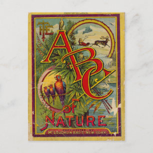 Cartão Postal ABC da Nature