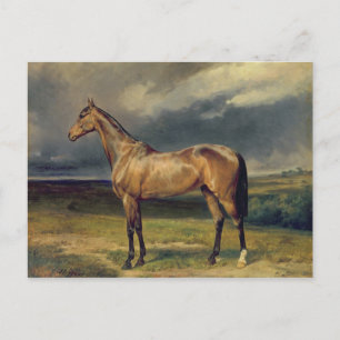 Cartão Postal Abdul Medschid, o cavalo de castanha, 1855