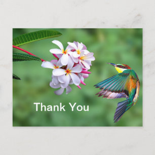 Cartão Postal Abelha Comedora Colorida Selvagem Foto Floral Obri