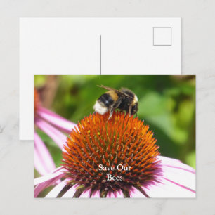 CARTÃO POSTAL ABELHAS